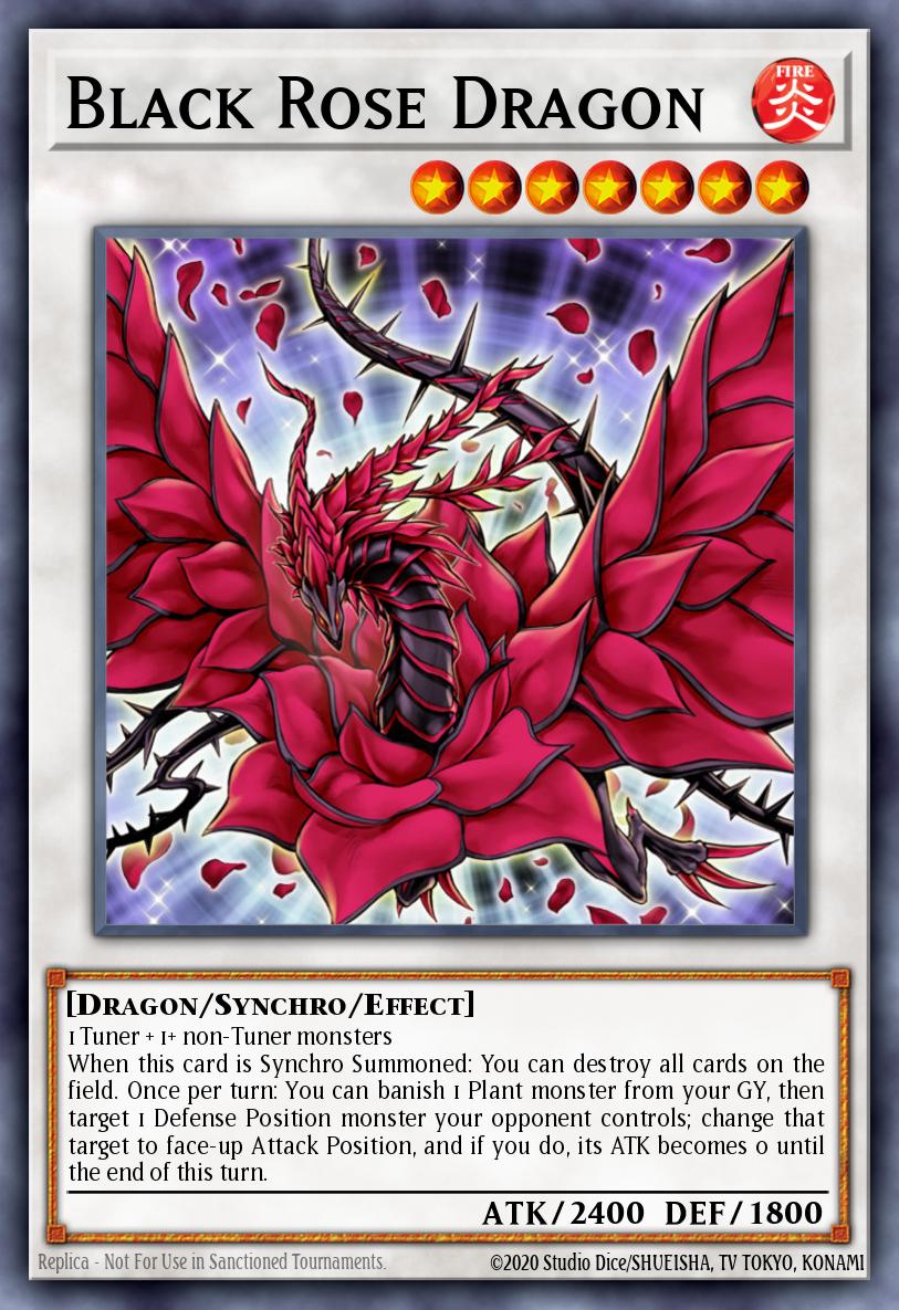 Black Rose Dragon