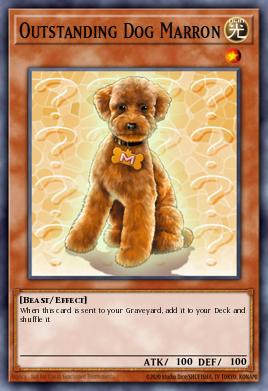 Card: Outstanding Dog Marron