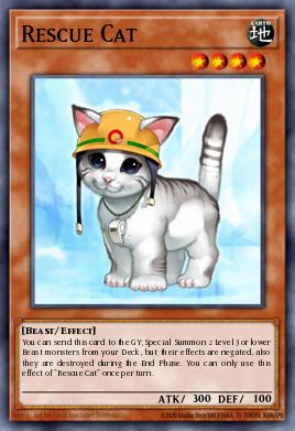 Card: Rescue Cat