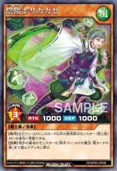 Card: Sakakaze the Talismanic Warrior