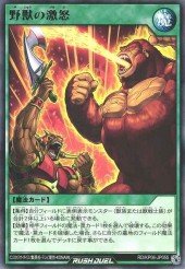 Card: Rage of the Wild Beasts