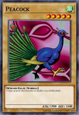 Card: Peacock