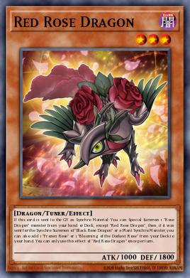 Card: Red Rose Dragon