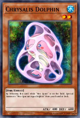 Card: Chrysalis Dolphin