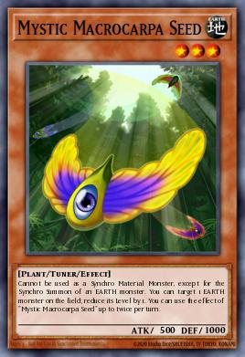 Card: Mystic Macrocarpa Seed