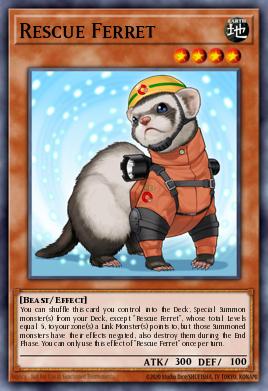Card: Rescue Ferret