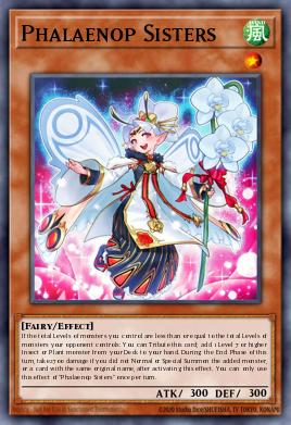 Card: Phalaenop Sisters