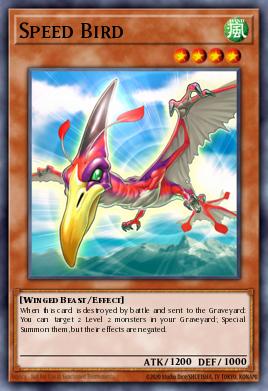 Card: Speed Bird