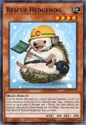Card: Rescue Hedgehog